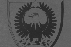 content.field_image.alt